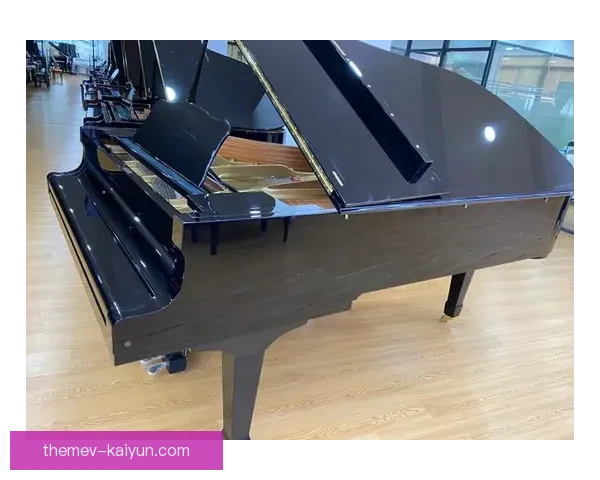 波琴96-77BG卡尔斯鲁厄钢琴技术性能与应用全面解析